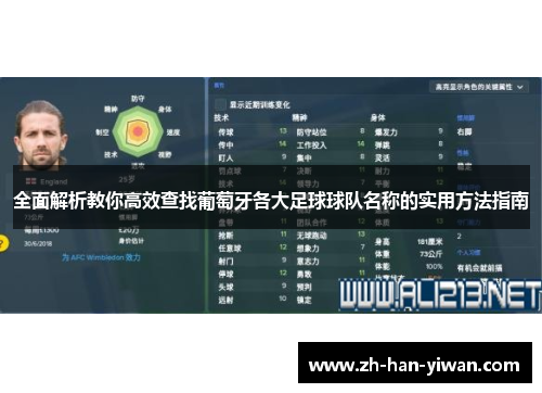 全面解析教你高效查找葡萄牙各大足球球队名称的实用方法指南